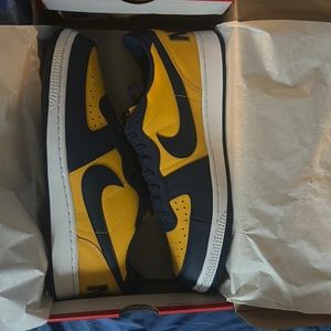 Nike Terminator Low OG “Michigan”
